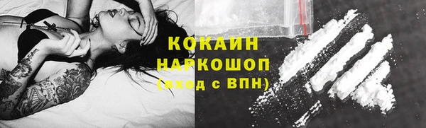 ECSTASY Горняк