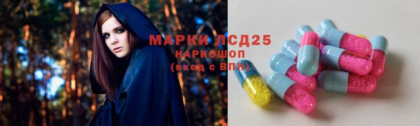 ECSTASY Горняк
