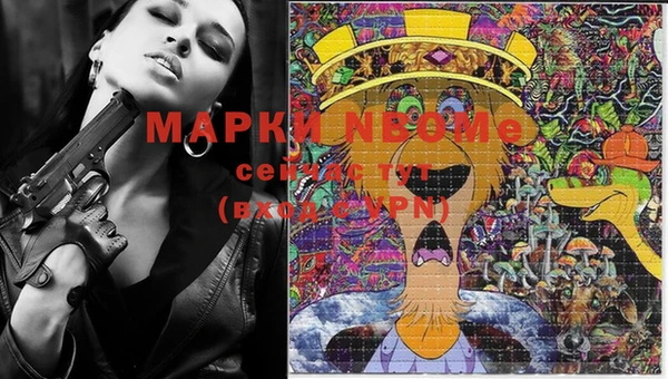 ECSTASY Горняк