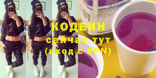 ECSTASY Горняк