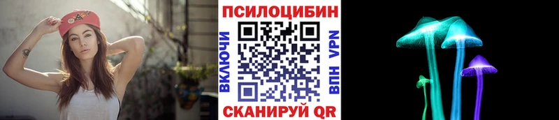 Галлюциногенные грибы GOLDEN TEACHER  купить наркотики сайты  Емва 